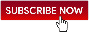 Subscribe to the VIP Club