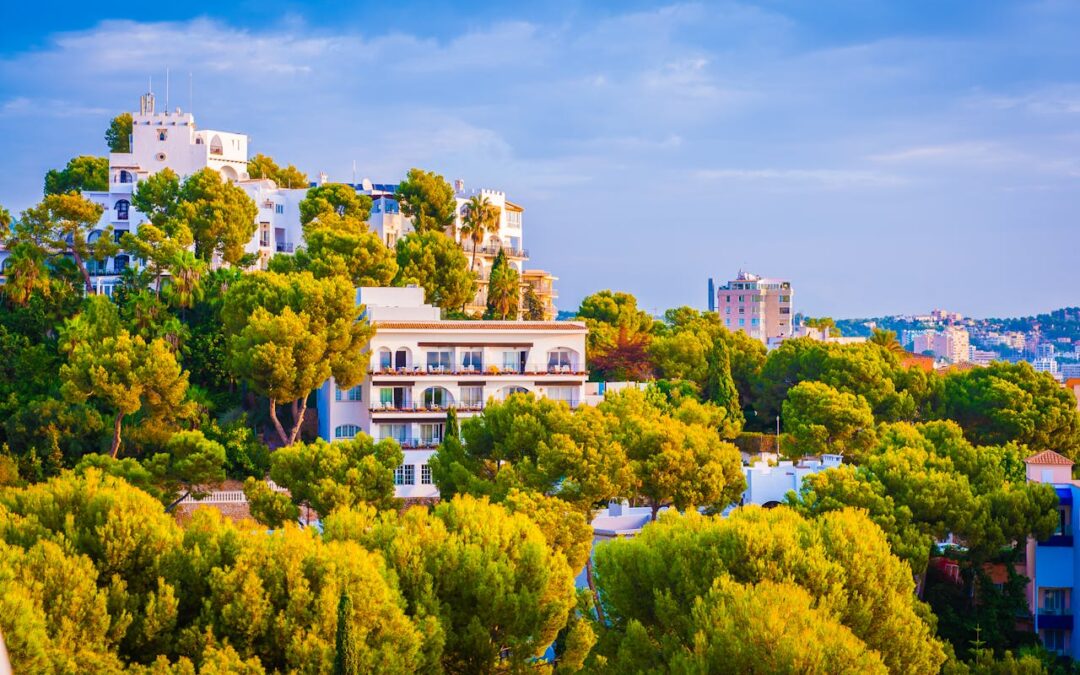 Using Real Estate Photography to Market to Remote and International Buyers
